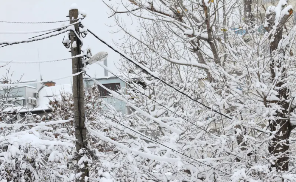П'ять районів Одеської області залишилися без світла через негоду П'ять районів Одеської області залишилися без світла через негоду